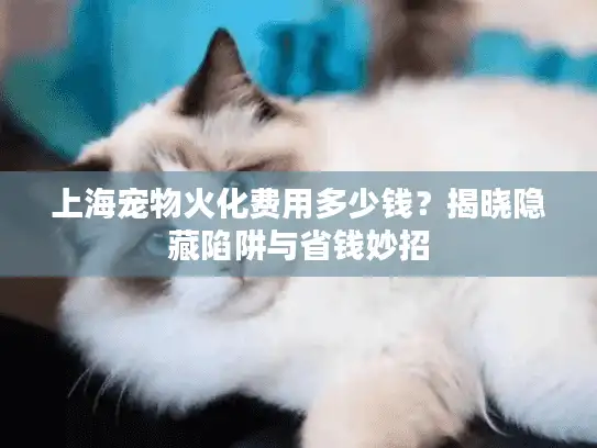 上海宠物火化费用多少钱？揭晓隐藏陷阱与省钱妙招
