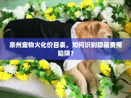 泉州宠物火化价目表，如何识别隐藏费用陷阱？