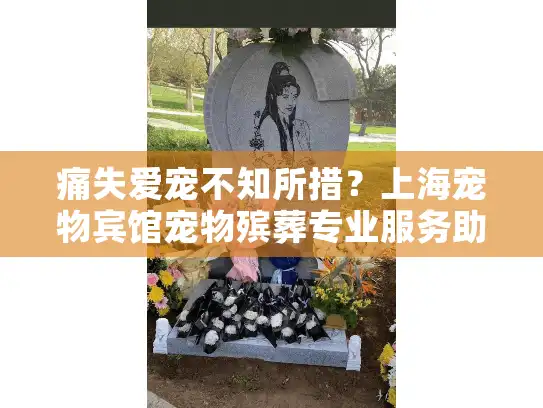 痛失爱宠不知所措？上海宠物宾馆宠物殡葬专业服务助您渡过难关