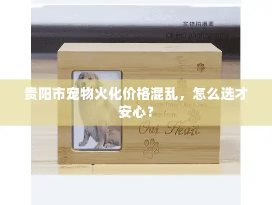 贵阳市宠物火化价格混乱，怎么选才安心？