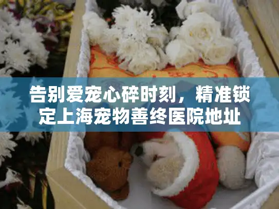 告别爱宠心碎时刻，精准锁定上海宠物善终医院地址