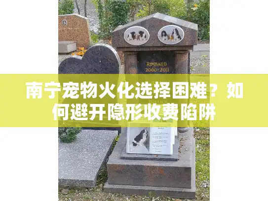 南宁宠物火化选择困难？如何避开隐形收费陷阱