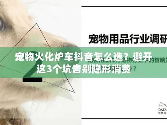 宠物火化炉车抖音怎么选？避开这3个坑告别隐形消费