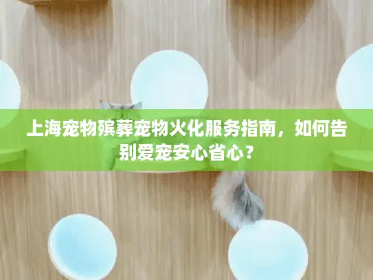 上海宠物殡葬宠物火化服务指南，如何告别爱宠安心省心？