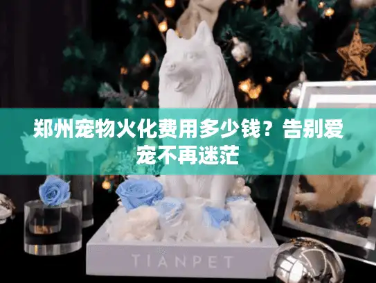 郑州宠物火化费用多少钱？告别爱宠不再迷茫