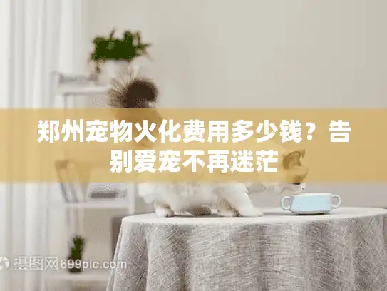 郑州宠物火化费用多少钱？告别爱宠不再迷茫