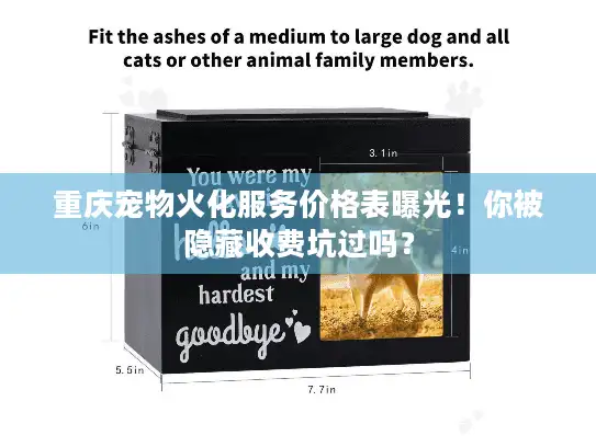 重庆宠物火化服务价格表曝光！你被隐藏收费坑过吗？
