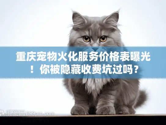 重庆宠物火化服务价格表曝光！你被隐藏收费坑过吗？