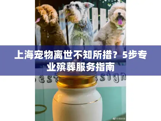 上海宠物离世不知所措？5步专业殡葬服务指南