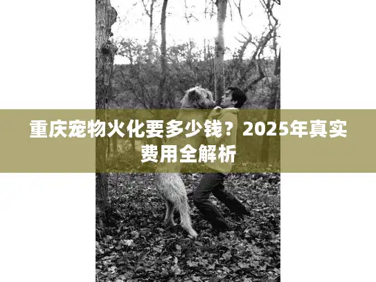 重庆宠物火化要多少钱？2025年真实费用全解析