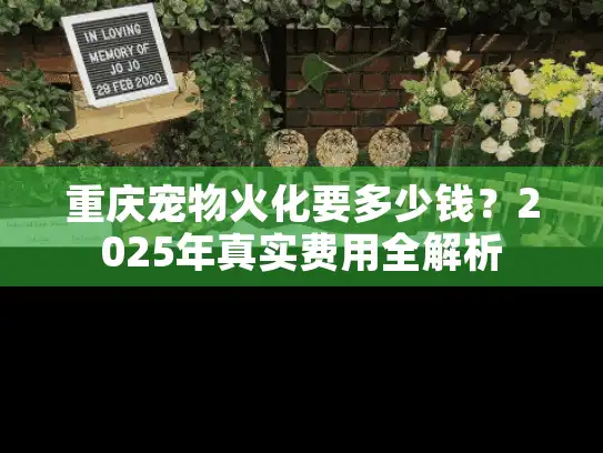重庆宠物火化要多少钱？2025年真实费用全解析