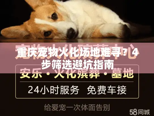 重庆宠物火化场地难寻？4步筛选避坑指南