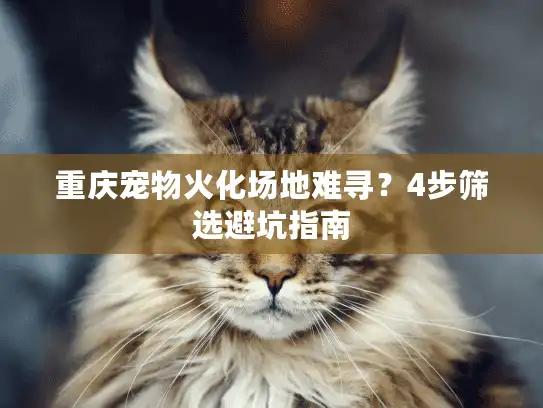 重庆宠物火化场地难寻？4步筛选避坑指南