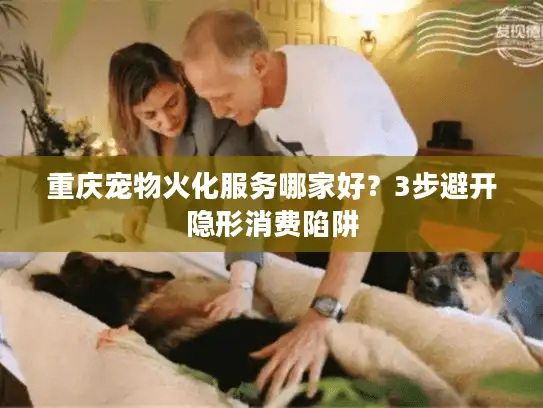 重庆宠物火化服务哪家好？3步避开隐形消费陷阱