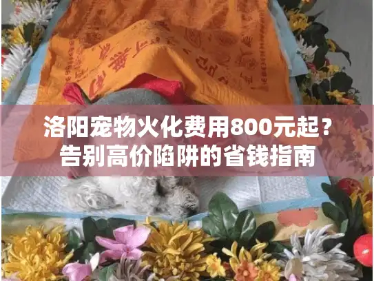 洛阳宠物火化费用800元起？告别高价陷阱的省钱指南