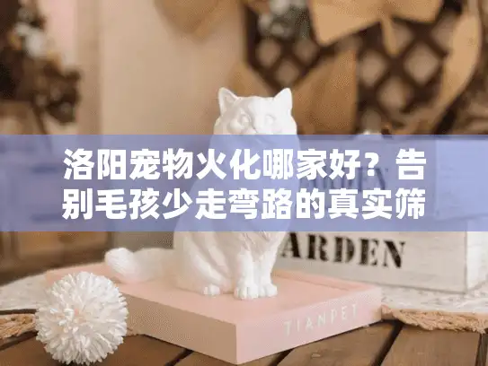 洛阳宠物火化哪家好？告别毛孩少走弯路的真实筛选法