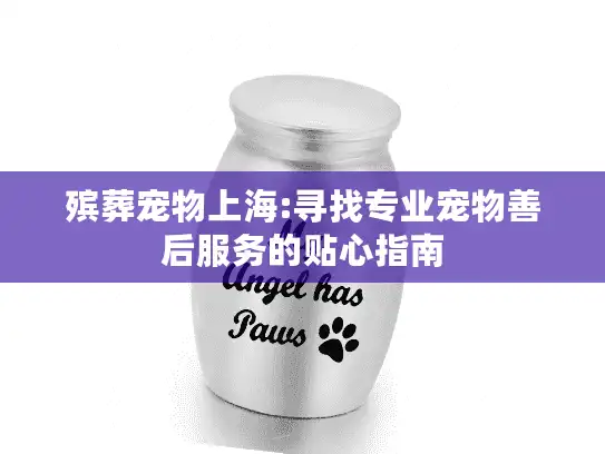 殡葬宠物上海:寻找专业宠物善后服务的贴心指南