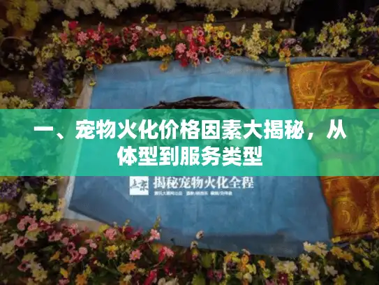 一、宠物火化价格因素大揭秘，从体型到服务类型