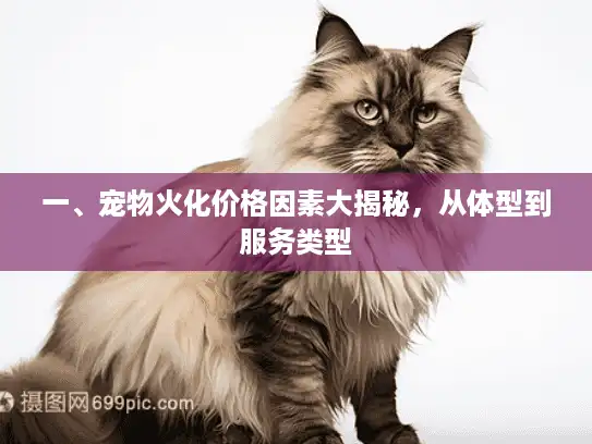 一、宠物火化价格因素大揭秘，从体型到服务类型