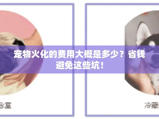 宠物火化的费用大概是多少？省钱避免这些坑！