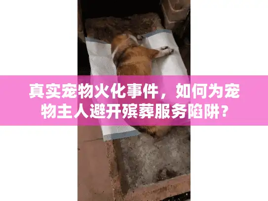 真实宠物火化事件，如何为宠物主人避开殡葬服务陷阱？