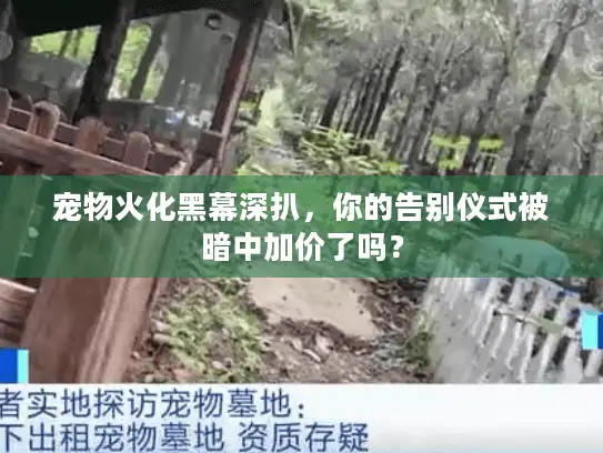 宠物火化黑幕深扒，你的告别仪式被暗中加价了吗？