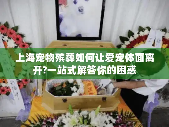 上海宠物殡葬如何让爱宠体面离开?一站式解答你的困惑