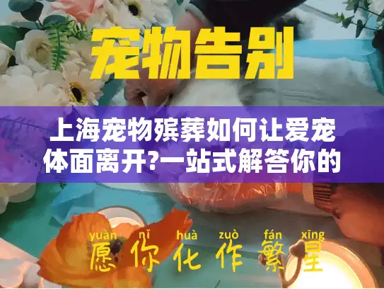 上海宠物殡葬如何让爱宠体面离开?一站式解答你的困惑