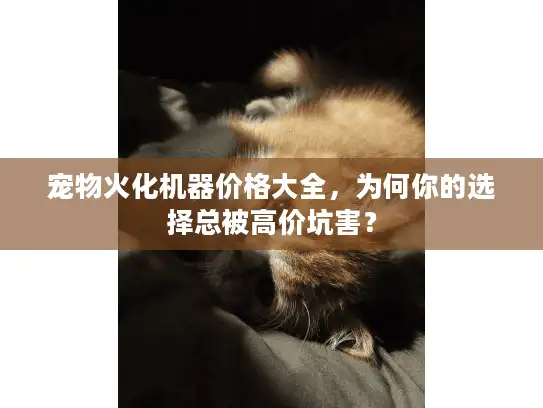 宠物火化机器价格大全，为何你的选择总被高价坑害？
