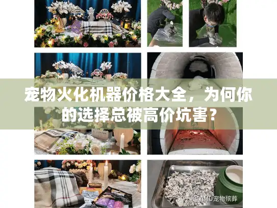宠物火化机器价格大全，为何你的选择总被高价坑害？