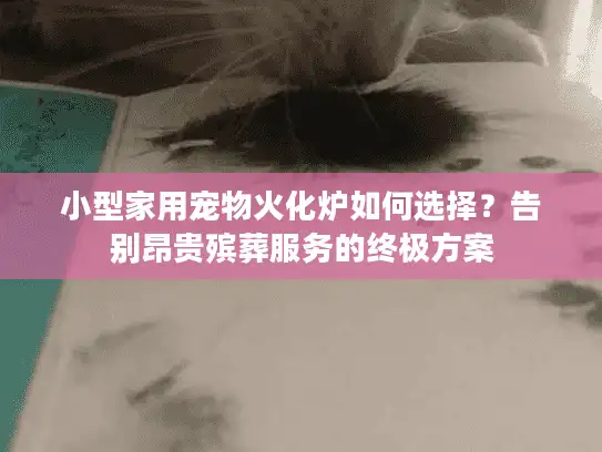小型家用宠物火化炉如何选择？告别昂贵殡葬服务的终极方案