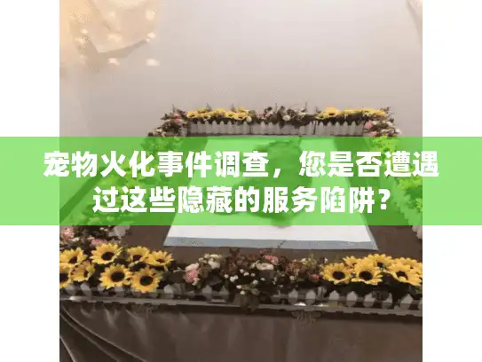 宠物火化事件调查，您是否遭遇过这些隐藏的服务陷阱？