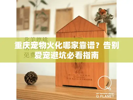 重庆宠物火化哪家靠谱？告别爱宠避坑必看指南
