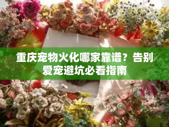重庆宠物火化哪家靠谱？告别爱宠避坑必看指南