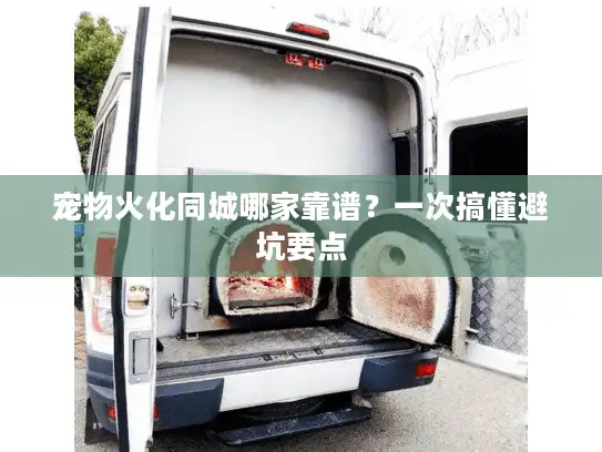 宠物火化同城哪家靠谱？一次搞懂避坑要点