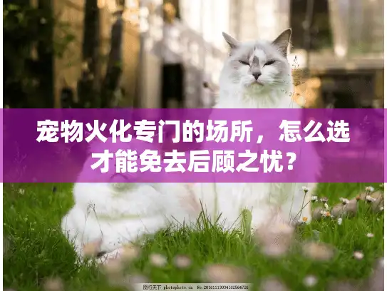 宠物火化专门的场所，怎么选才能免去后顾之忧？