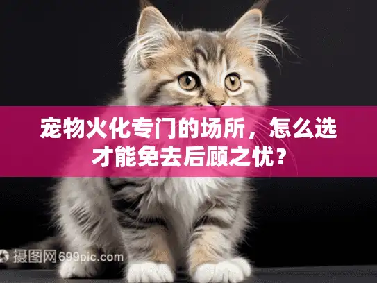 宠物火化专门的场所，怎么选才能免去后顾之忧？