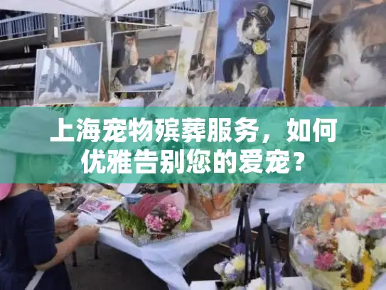 上海宠物殡葬服务，如何优雅告别您的爱宠？