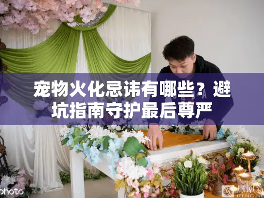宠物火化忌讳有哪些？避坑指南守护最后尊严