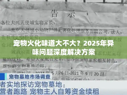 宠物火化味道大不大？2025年异味问题深度解决方案