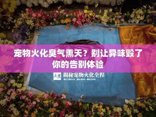 宠物火化臭气熏天？别让异味毁了你的告别体验