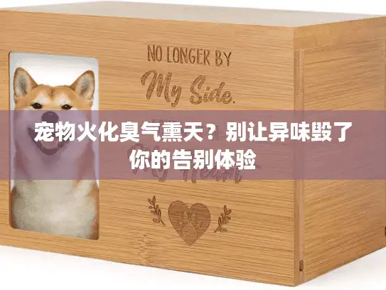 宠物火化臭气熏天？别让异味毁了你的告别体验