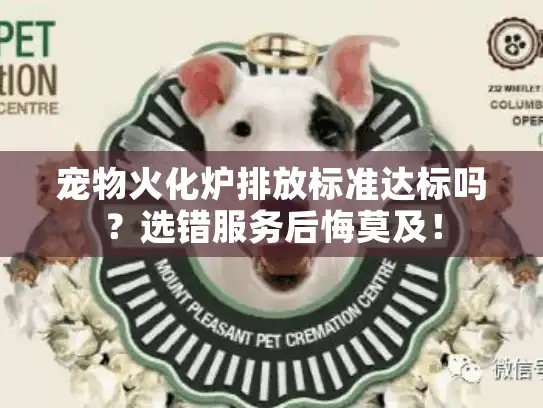 宠物火化炉排放标准达标吗？选错服务后悔莫及！