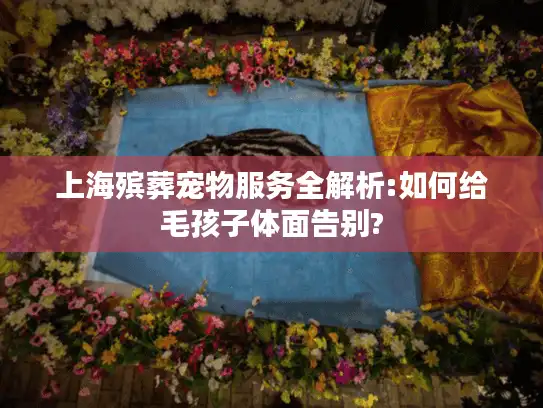 上海殡葬宠物服务全解析:如何给毛孩子体面告别?