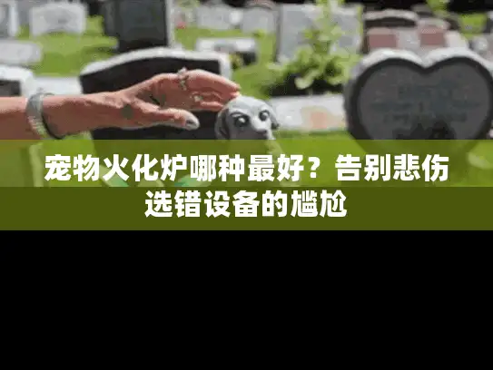 宠物火化炉哪种最好？告别悲伤选错设备的尴尬