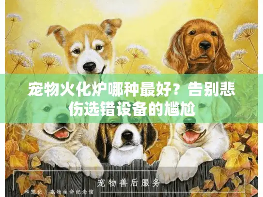 宠物火化炉哪种最好？告别悲伤选错设备的尴尬