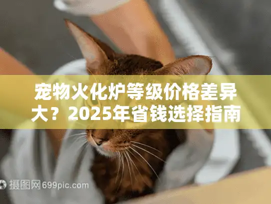宠物火化炉等级价格差异大？2025年省钱选择指南