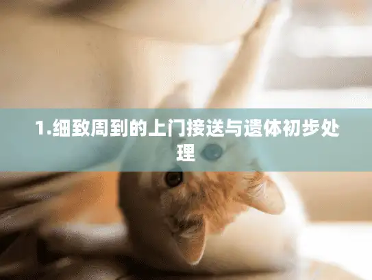 1.细致周到的上门接送与遗体初步处理