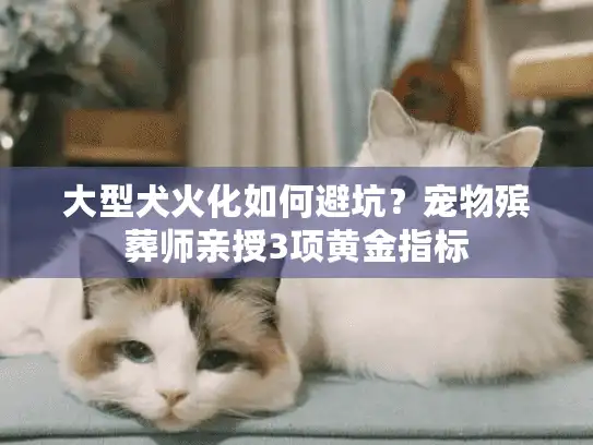 大型犬火化如何避坑？宠物殡葬师亲授3项黄金指标