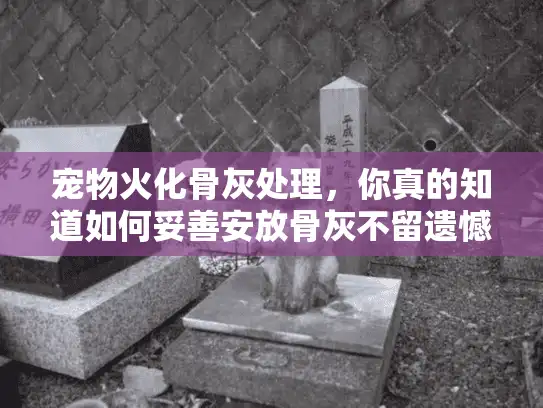 宠物火化骨灰处理，你真的知道如何妥善安放骨灰不留遗憾吗？